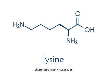 498 Lysine Structure Images, Stock Photos, 3D objects, & Vectors ...