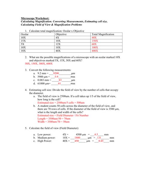 Calculating Field Of View Microscope Worksheet