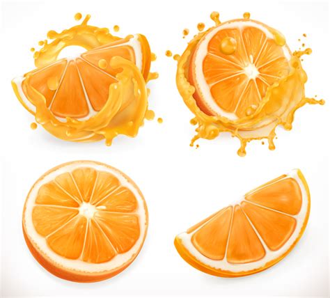 Orange juice and splash vector free download