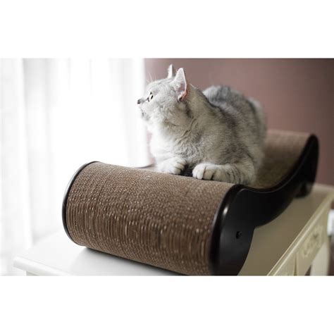 Zoovilla Cat Scratcher Bed, 6.1" H, 6.93 LB, Brown | Cat scratcher ...