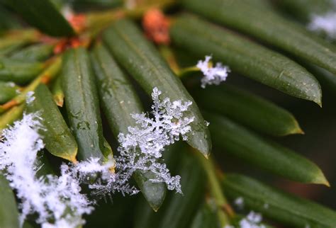 The Ketelsens!: Snow Flurries!