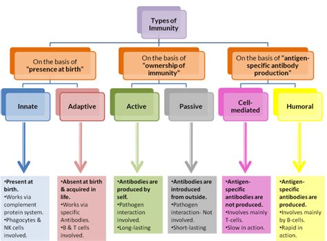 Humoral immunity - Definition and Examples - Biology Online Dictionary