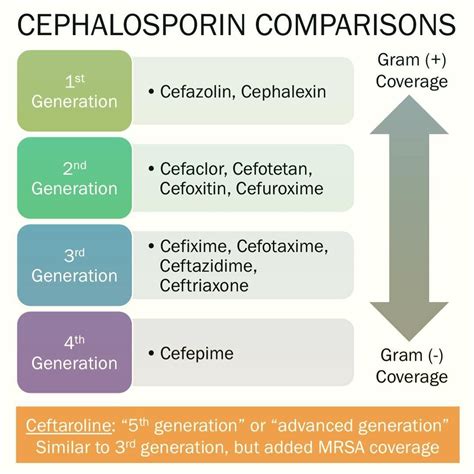 Understanding the Different Generations of Cephalosporin Antibiotics