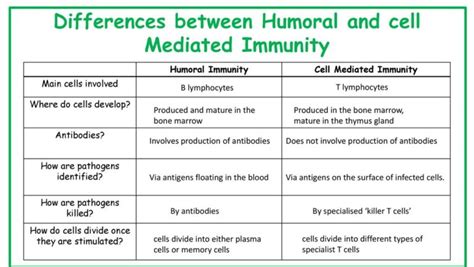 10 Honest Difference between Humoral and Cell-Mediated Immunity - Core ...