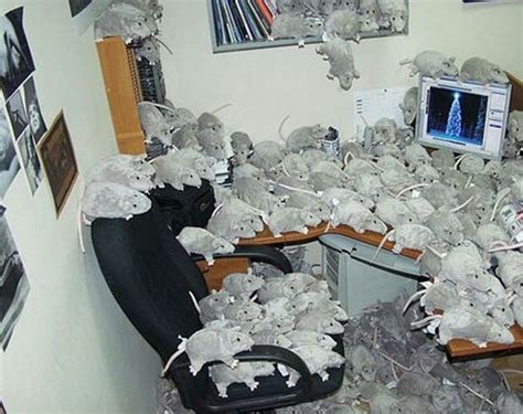 Awesome office cubicle pranks - 21 Pics | Curious, Funny Photos / Pictures