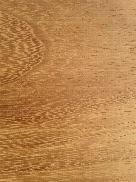 Iroko Timber | Cut to SIze| Timbersource Hardwoods