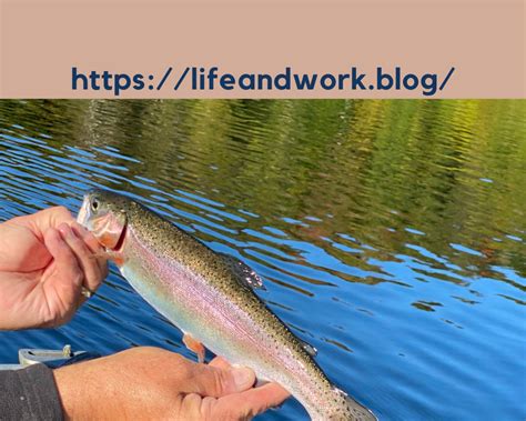 Fishing Tips and Tricks