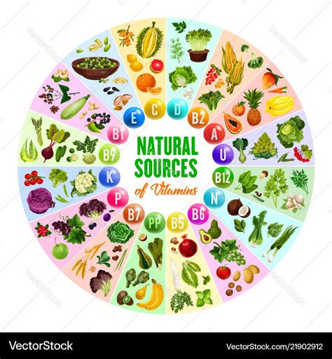 Natural vitamin vegetarian food sources Royalty Free Vector