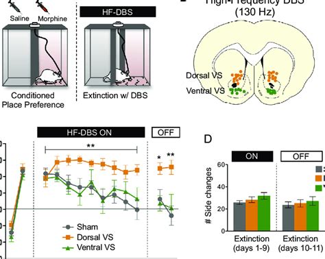 High-frequency deep brain stimulation (HF-DBS) of dorsal– ventral ...