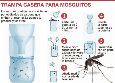 recursos caseros contra los mosquitos | Shopping, Shopping screenshot