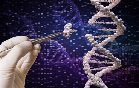 Scientists warn of the harmful effects of CRISPR gene editing - Earth.com