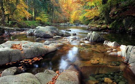 HD Serene Mountain Stream Wallpaper | Download Free - 66800