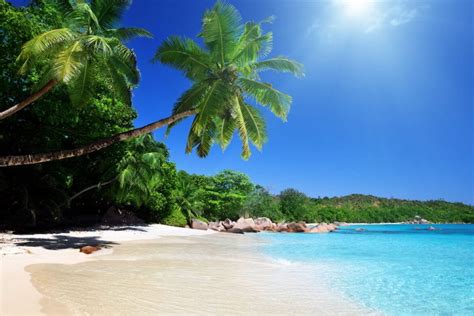 The Best Beaches in Malaysia [2023 with photos] | Malaysia Top Beaches