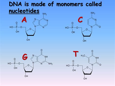 Polymers - Presentation Chemistry