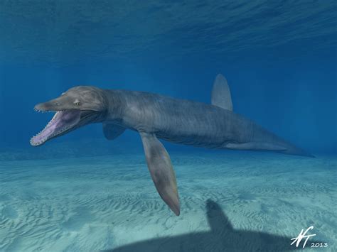 Pliosaurus kevani by NTamura on DeviantArt