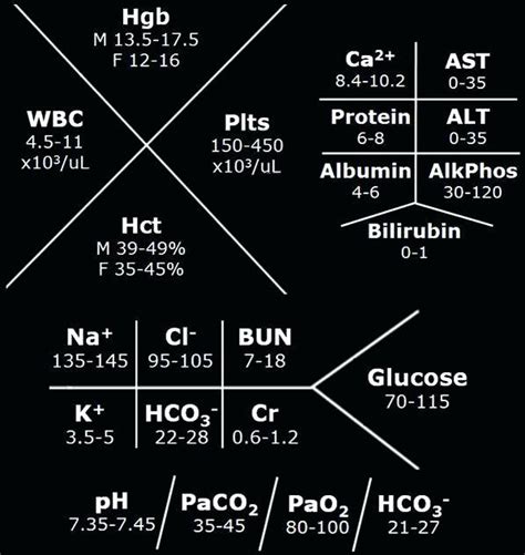 Lab Diagrams Medical