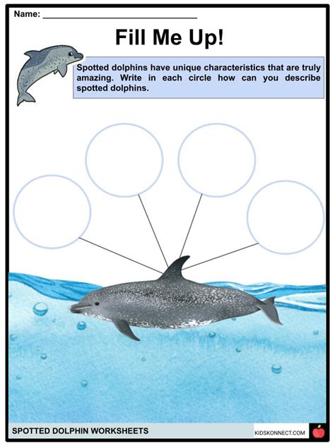 Spotted Dolphin Worksheets & Facts | Habitat and Conservation