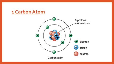 [DIAGRAM] Labeled Diagram Of Carbon Atom - MYDIAGRAM.ONLINE