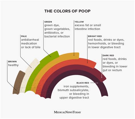 Yellow stool: 8 causes