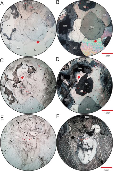 Photomicrographs showing texture, special features and representative ...