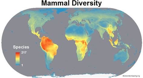 Biodiversity Threats: Maps of Species Hotspots | Live Science