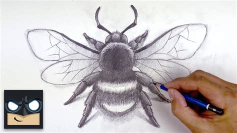 How To Draw a Bumble Bee | Sketch Sunday (Step by Step) - YouTube