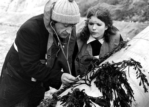 Doctor Who episode 198: Fury from the Deep – Episode 1 (16/3/1968 ...