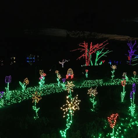 Meadowlark Botanical Gardens Winter Walk of Lights - Adventures in DC