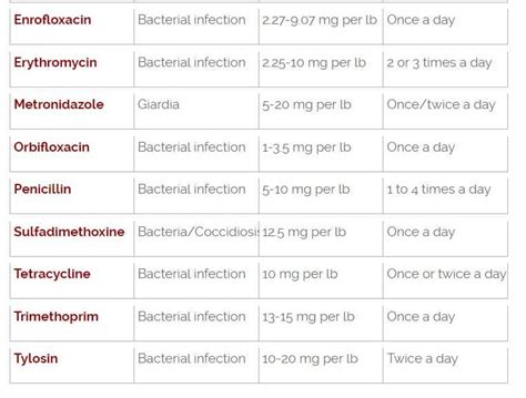 Dog Medications Dosage Charts