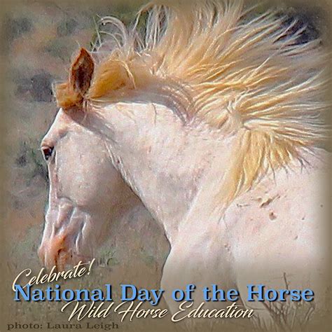 National Day of the Horse (2019) – Wild Horse Education