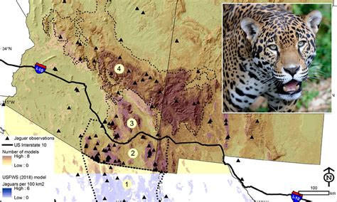 Jaguar Habitat Map