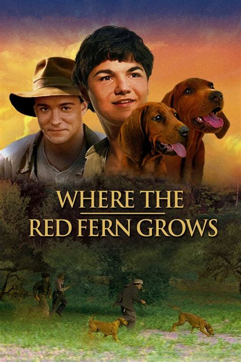 Where the Red Fern Grows (2003) - Posters — The Movie Database (TMDB)