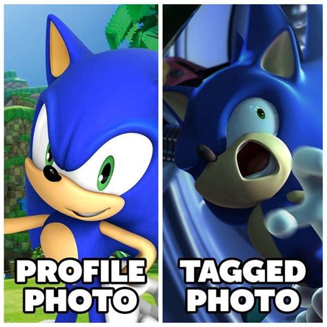 184 best Sonic Memes images on Pinterest | Hedgehogs, Hedgehog and ...