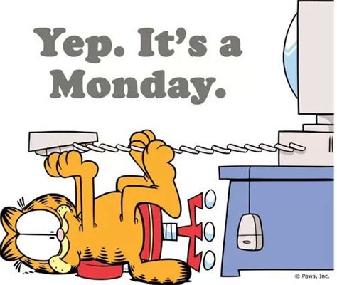 31 best Garfield Hates Mondays images on Pinterest | Hat crochet ...