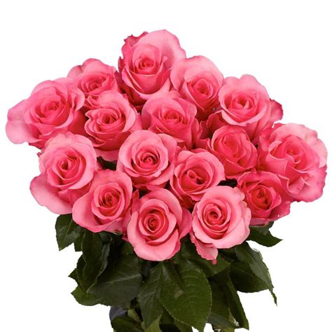 Globalrose 100 Pink Roses Fresh Flower Delivery-pink-roses-assorted-100 ...