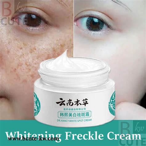 DR.HANCY Melasma Cream Yunnan Herbal Whitening Freckle - Bcute-kw