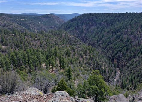 Sycamore Rim Trail, Sycamore Canyon, Arizona