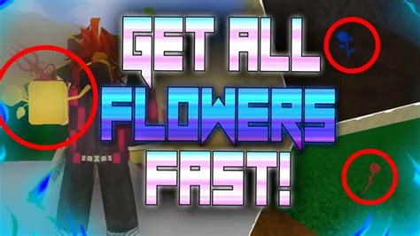 Ubicaciones de las Flores Blox Fruits - TODORBX 2024