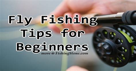 Fly Fishing Tips for Beginners to Catch the Big Fish