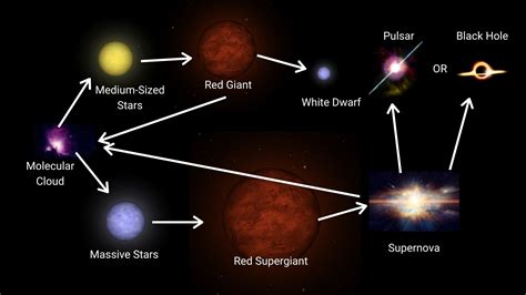 The Main Stages of the Life Cycle of a Star - Central Galaxy