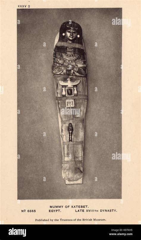 Egyptian Mummy in the British Museum, London - Katebet Stock Photo - Alamy