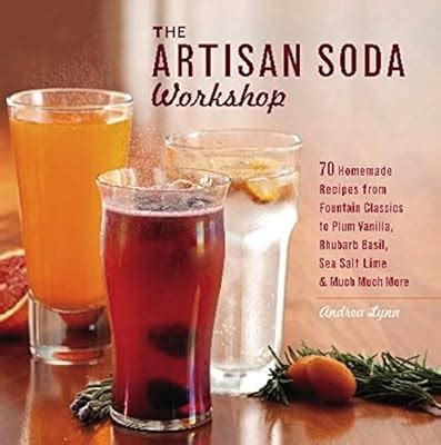 Homemade Sodastream Syrup Recipes | Dandk Organizer