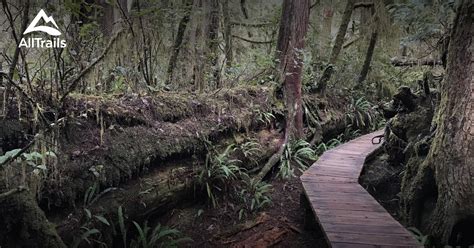 Best Trails in Pacific Rim National Park Reserve - British Columbia ...