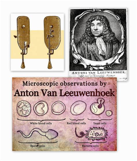 Living the Dreamsicle: September 17 - Anton van Leeuwenhoek and bacteria