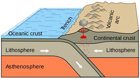 Ocean-Continent Convergent Plate Boundaries ( Read ) | Earth Science ...