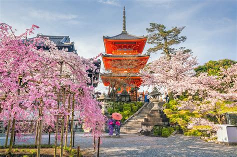 6 Best Temples to See Cherry Blossoms in Kyoto - Great Places in Kyoto ...