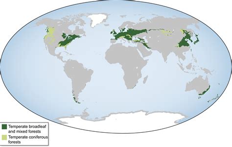 Temperate Deciduous Forest Map