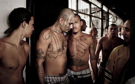 Trump Targets MS-13, a Violent Menace, if Not the One He Portrays - The ...