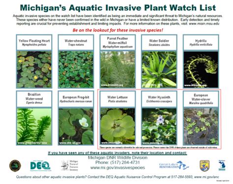 Invasive Plant Chart | PLM Lake and Land Management Corp.