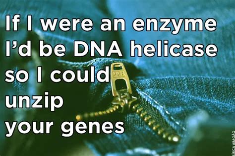 15 Jokes That Only Biologists Will Fully Understand | Geeky pick up ...